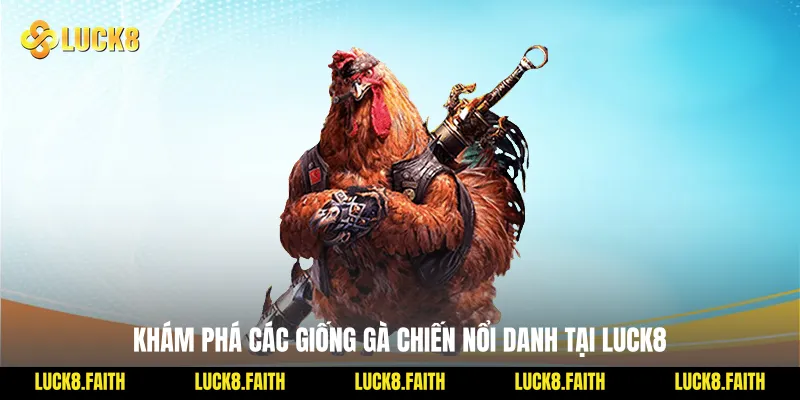 Khám phá các giống gà chiến nổi danh tại Luck8